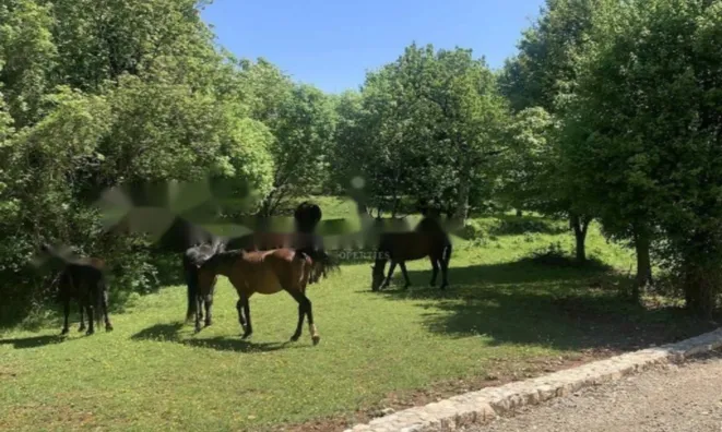 Недвижимость Новое жилое здание, Центр: 24