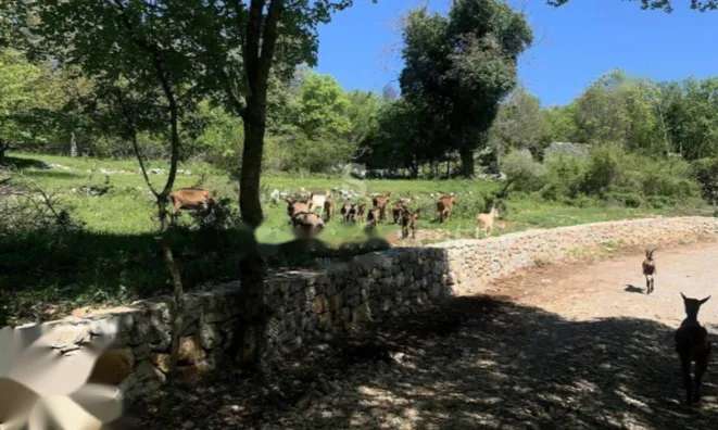 Недвижимость Новое жилое здание, Центр: 25