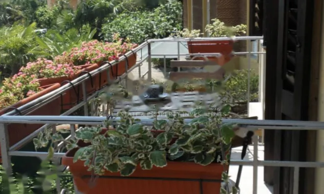 Недвижимость Трехкомнатная квартира Центр: 13