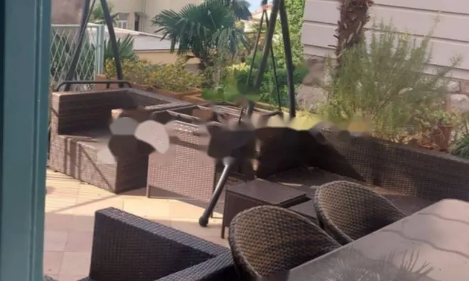 Недвижимость Трехкомнатная квартира в центре: 4