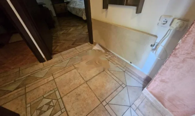 Недвижимость Двухкомнатная квартира в Опатии: 14