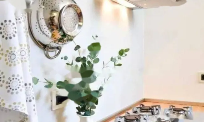 Недвижимость Четырёхкомнатная квартира в центре Опатии: 12