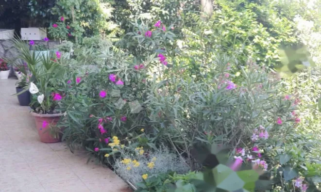 Недвижимость Апартаменты Центр Опатия: 22