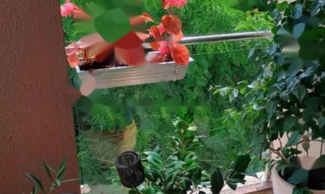 Недвижимость Трёхкомнатная квартира, Центр: 14