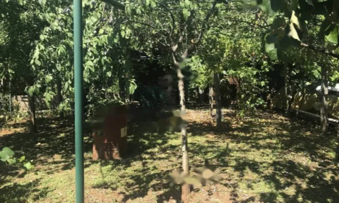 Недвижимость Семейный дом в Опатии: 23