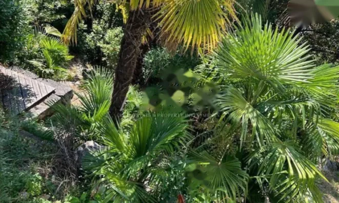 Недвижимость Дом в центре Опатии: 3