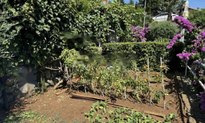 Недвижимость Семейный дом 377 м², Центр, Опатия: 16