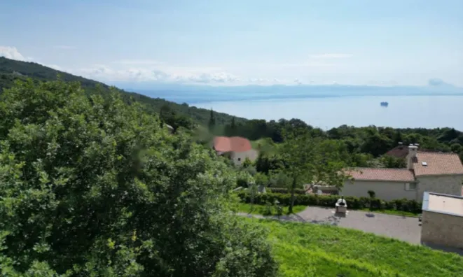 Недвижимость Особняк 250 м², Центр, Опатия: 9