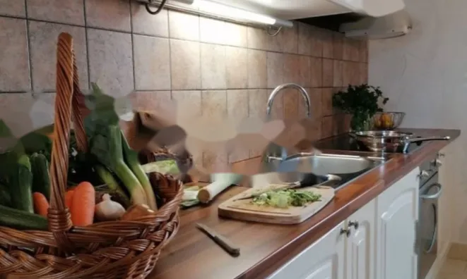 Недвижимость Семейный дом 550 м² в Центре: 16