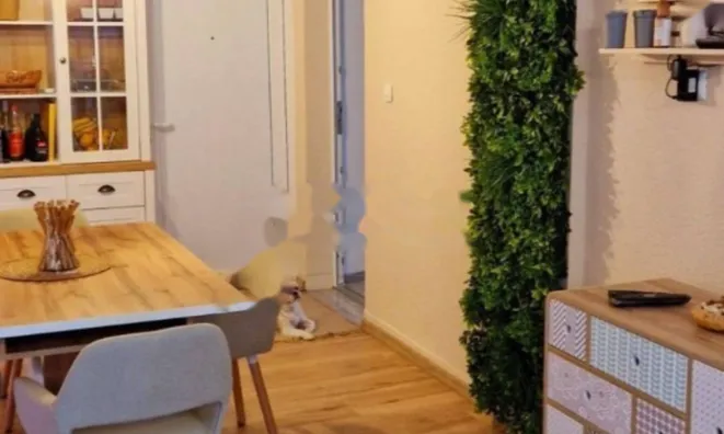 Недвижимость Двухкомнатная квартира в центре: 9