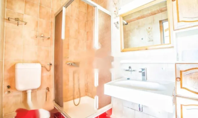 Недвижимость Семейный дом, Побрии, Волоско: 26