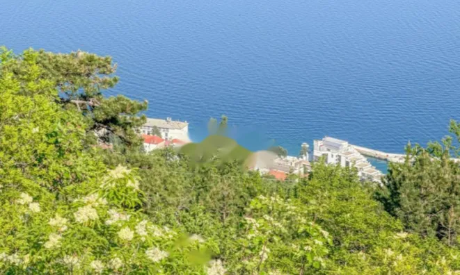 Недвижимость Семейный дом 266 м², Центр, Опатия: 1