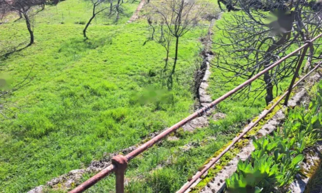 Недвижимость Семейный дом 146 м², Запад, Опатия: 1