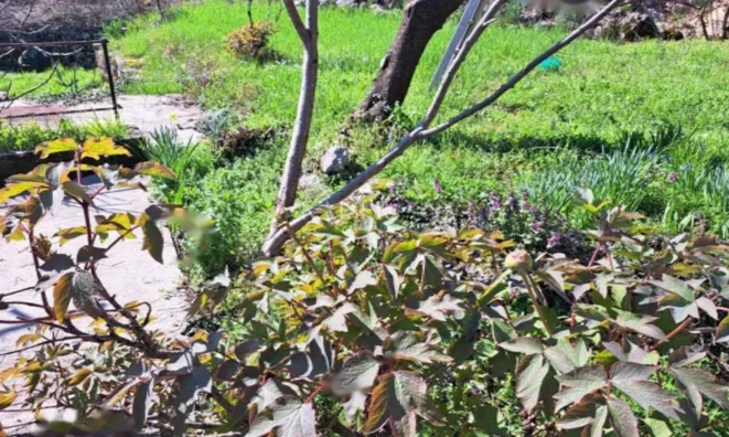 Недвижимость Семейный дом 146 м², Запад, Опатия: 3