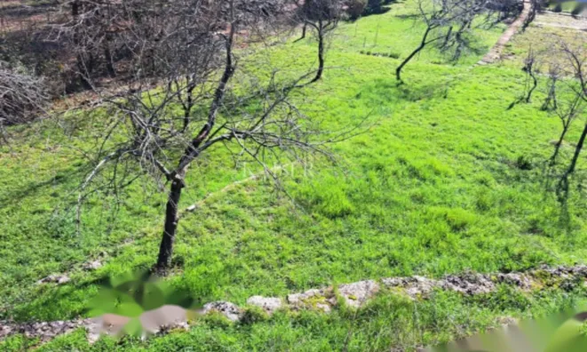 Недвижимость Семейный дом 146 м², Запад, Опатия: 4