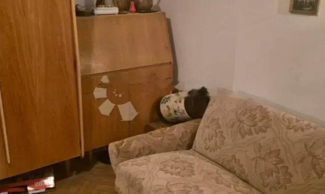 Недвижимость Четырехкомнатная квартира: 1