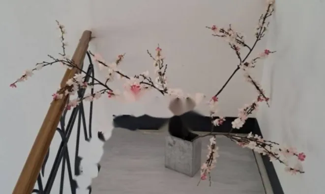 Недвижимость Четырёхкомнатная квартира, Центр: 10