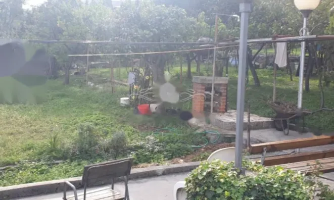 Недвижимость Трёхкомнатная квартира в центре: 7