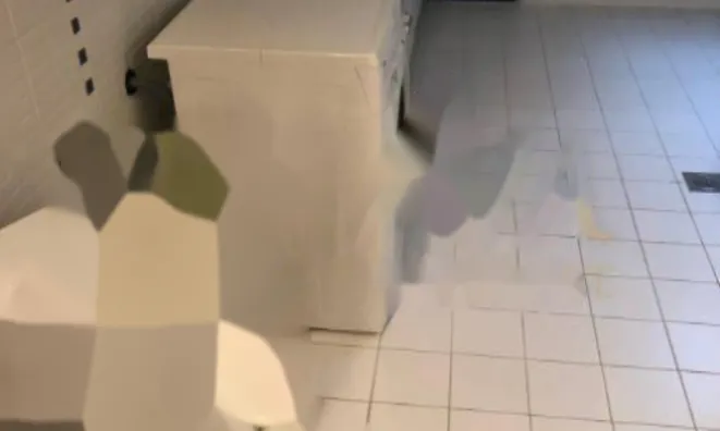 Недвижимость Трехкомнатная квартира в центре: 7