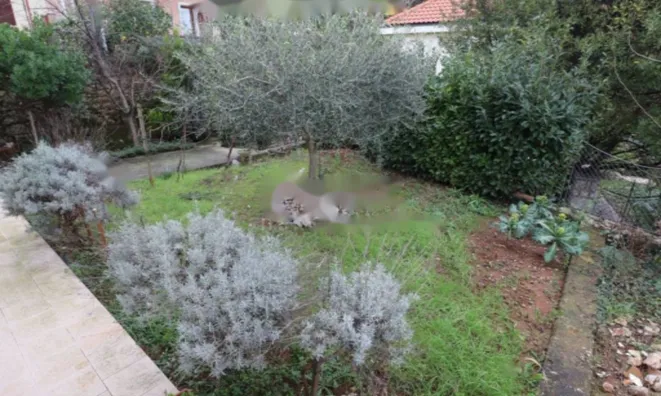 Недвижимость Семейный дом 250 м², Центр, Опатия: 22