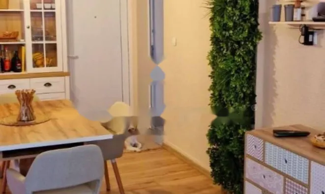 Недвижимость Двухкомнатная квартира, центр: 4