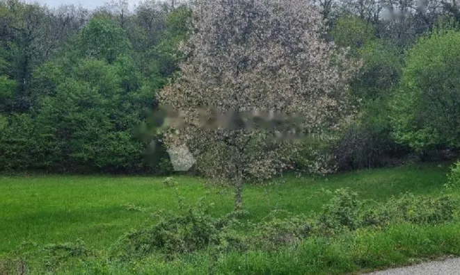 Недвижимость Семейный дом 170 м², Центр Опатии: 10