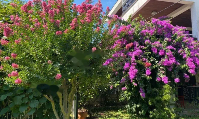 Недвижимость Семейный дом 350 м² в Центре: 1