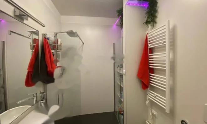 Недвижимость Семейный дом 350 м² в Центре: 8