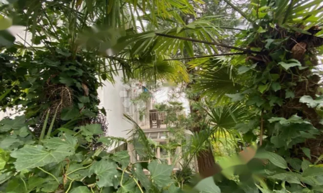 Недвижимость Семейный дом в центре Опатии: 1