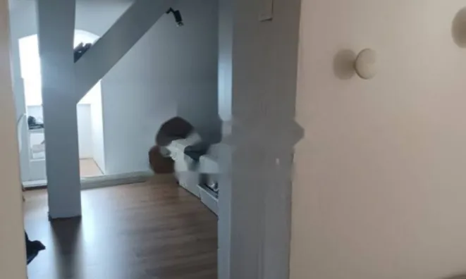 Недвижимость Трехкомнатная квартира в центре: 5