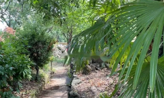 Недвижимость Семейный дом 140 м², Центр, Опатия: 23