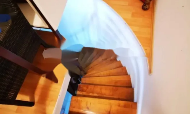 Недвижимость Трехкомнатная квартира в центре: 13