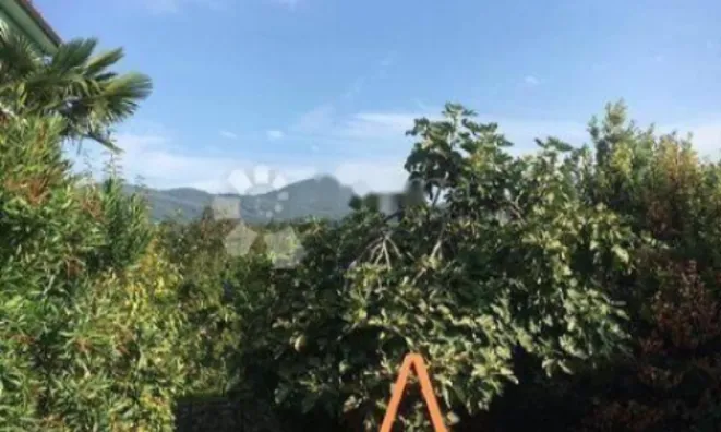 Недвижимость Трехкомнатная квартира в центре: 20