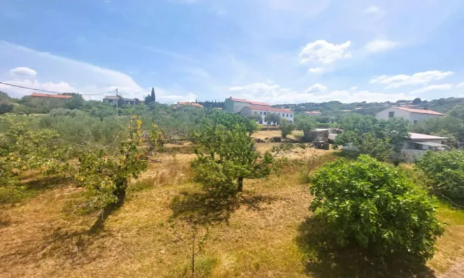 Недвижимость Четырехкомнатная квартира Новое Плавье: 15