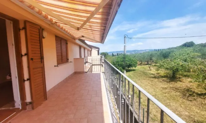 Недвижимость Четырехкомнатная квартира Новое Плавье: 25