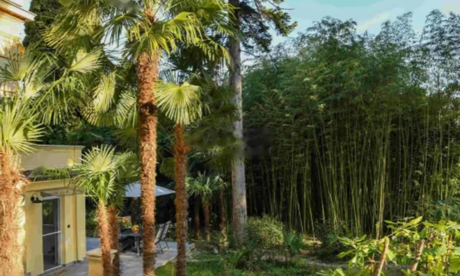 Недвижимость Квартира в центре Опатии: 12