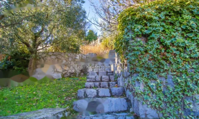 Недвижимость Семейный дом 337 м², Центр: 7