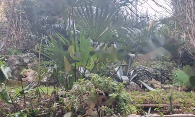 Недвижимость Двухкомнатная квартира, Центр: 13