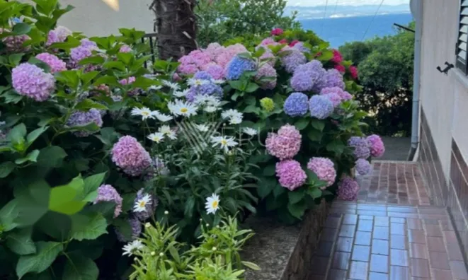 Недвижимость Двухкомнатная квартира, Центр: 23