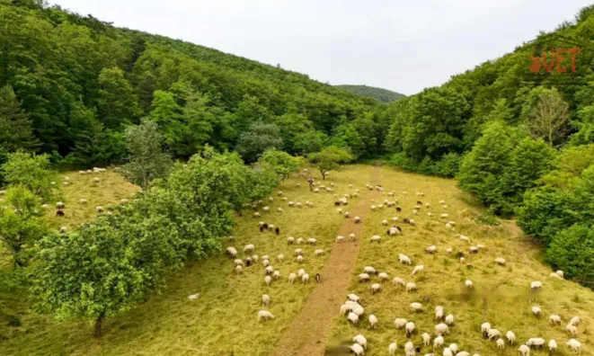 Недвижимость Дом, Доляня Вас: 8