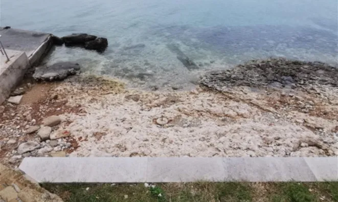 Недвижимость Дом, Изола: 1