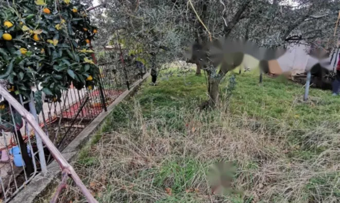 Недвижимость Дом, Изола: 20