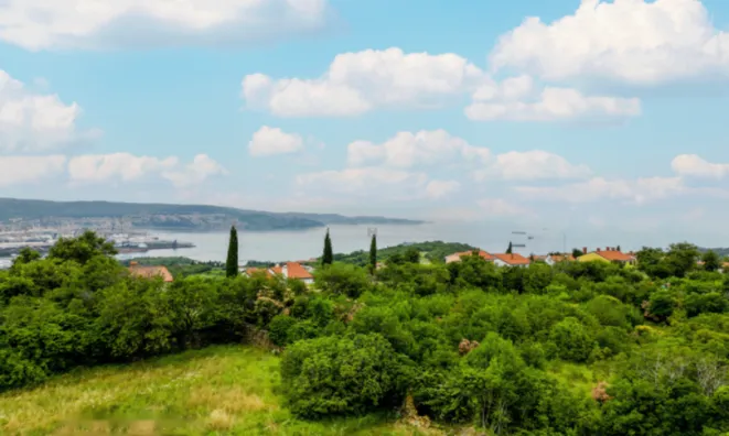 Недвижимость Дом в Хрватини: 6