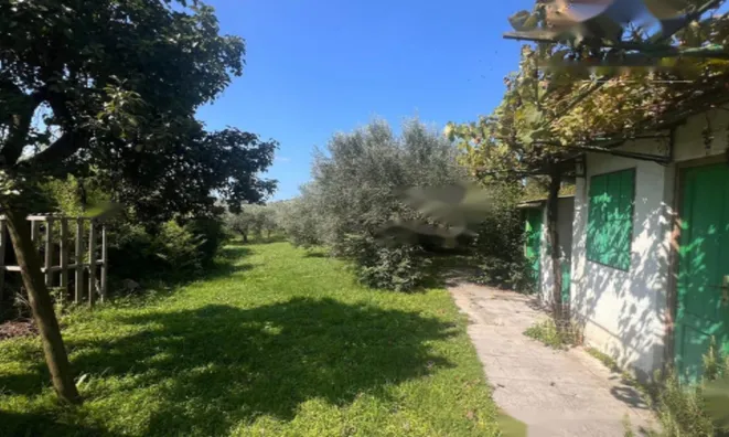 Недвижимость Двухэтажный дом Ольчник: 10