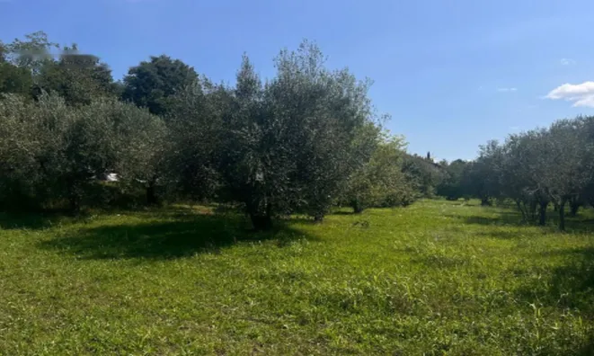 Недвижимость Двухэтажный дом Ольчник: 11