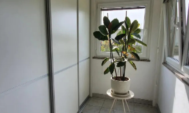 Недвижимость Трёхэтажный дом Драгонья: 13