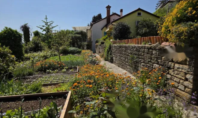 Недвижимость Дом, Порторож: 17