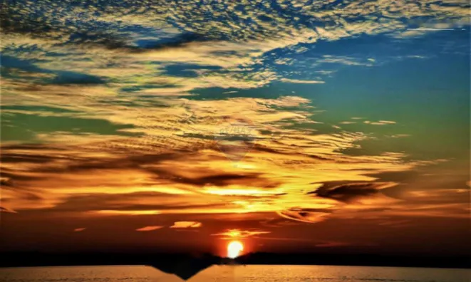 Недвижимость Дом, Порторож: 11