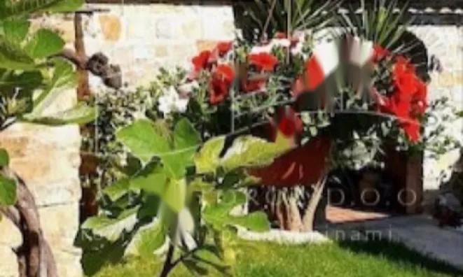 Недвижимость Дом, Порторож: 7