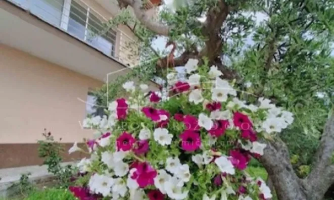 Недвижимость Дом, Порторож: 15